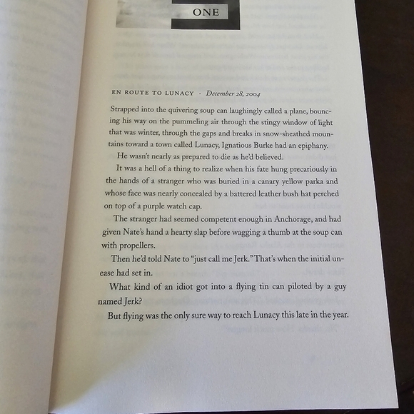 Northern Lights Novel by Nora Roberts, Hardcover, Pre-owned - Picture 9 of 10